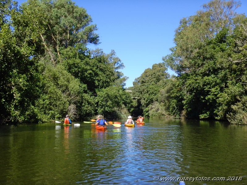 Kayak río Palmones