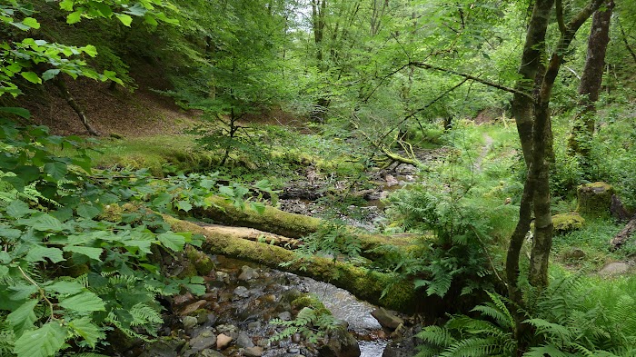 ESCOCIA 2019: SEGUNDAS PARTES PUEDEN SER MUY BUENAS - Blogs de Reino Unido - LOCH LEVEN, GLENFINNAN Y PORTREE (3)