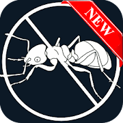 Anti Ants Free  Icon