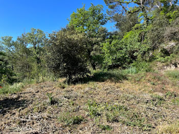 terrain à Barjols (83)