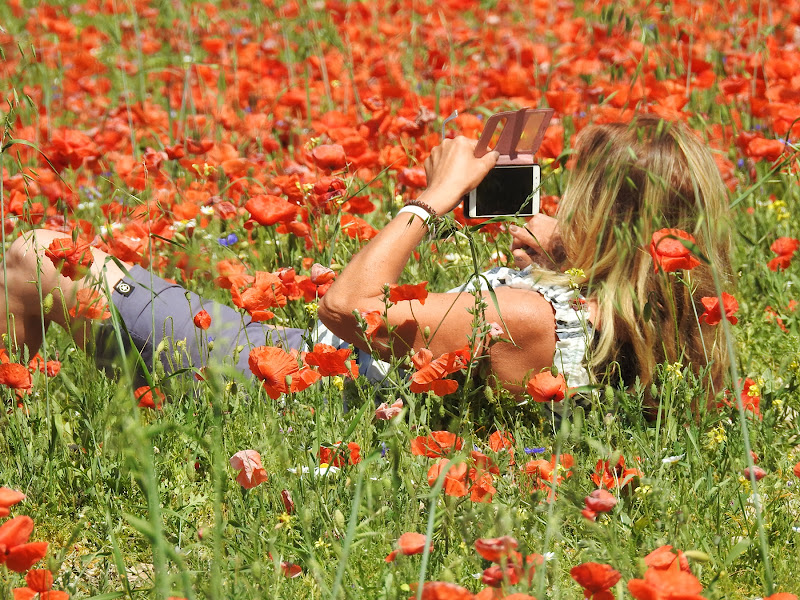 Spring mood di FrancescoPaolo