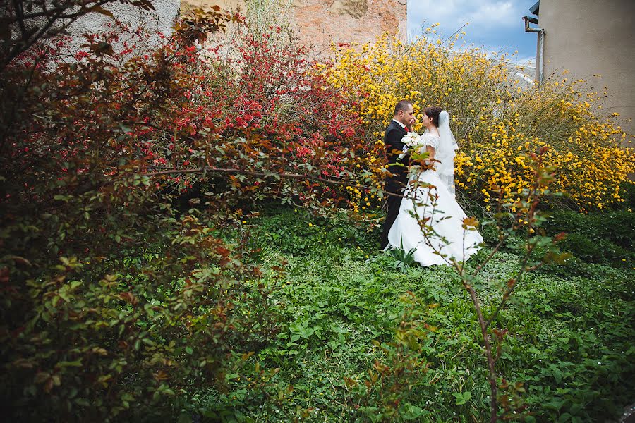 Photographe de mariage Sergey Denisenko (yanekdot). Photo du 3 juin 2015