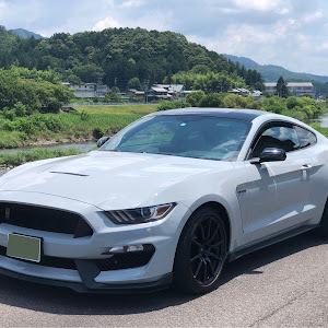 シェルビー GT350