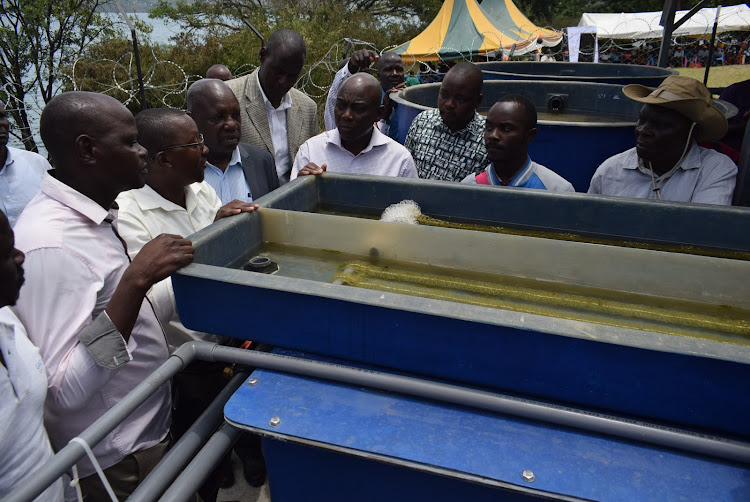 MP Caroli Omondi and other officials in the water project at Uterere beach in Suba South on March 20,2024