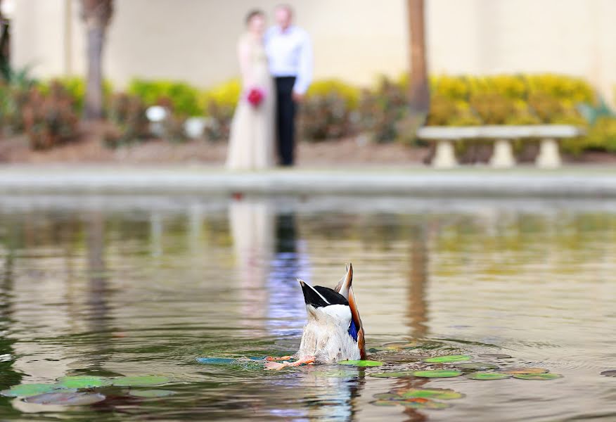 Fotografo di matrimoni Lana Dovbenko (lanastunning). Foto del 13 giugno 2016