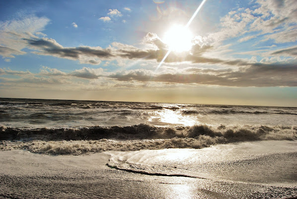 Il mare marrone di FedericaFeffa