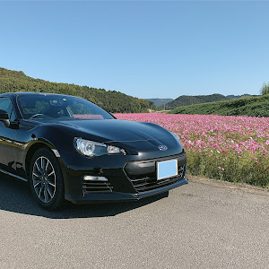 BRZ ZC6