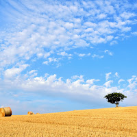 rotolando verso il cielo.. di 