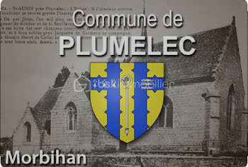 terrain à Plumelec (56)