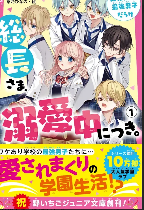 「総長さま溺愛中につき知ってる子いる？」のメインビジュアル