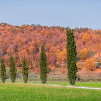 Verso l'infinito di 