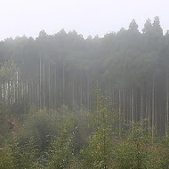 馬武督山莊