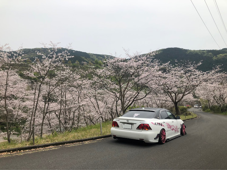 クラウンアスリートの🌸桜🌸沢山・コロナウイルスに負けるなに関するカスタム事例の投稿画像4枚目