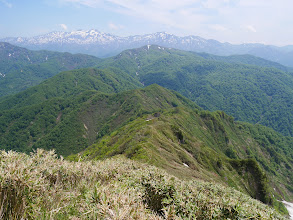 赤兎山への道