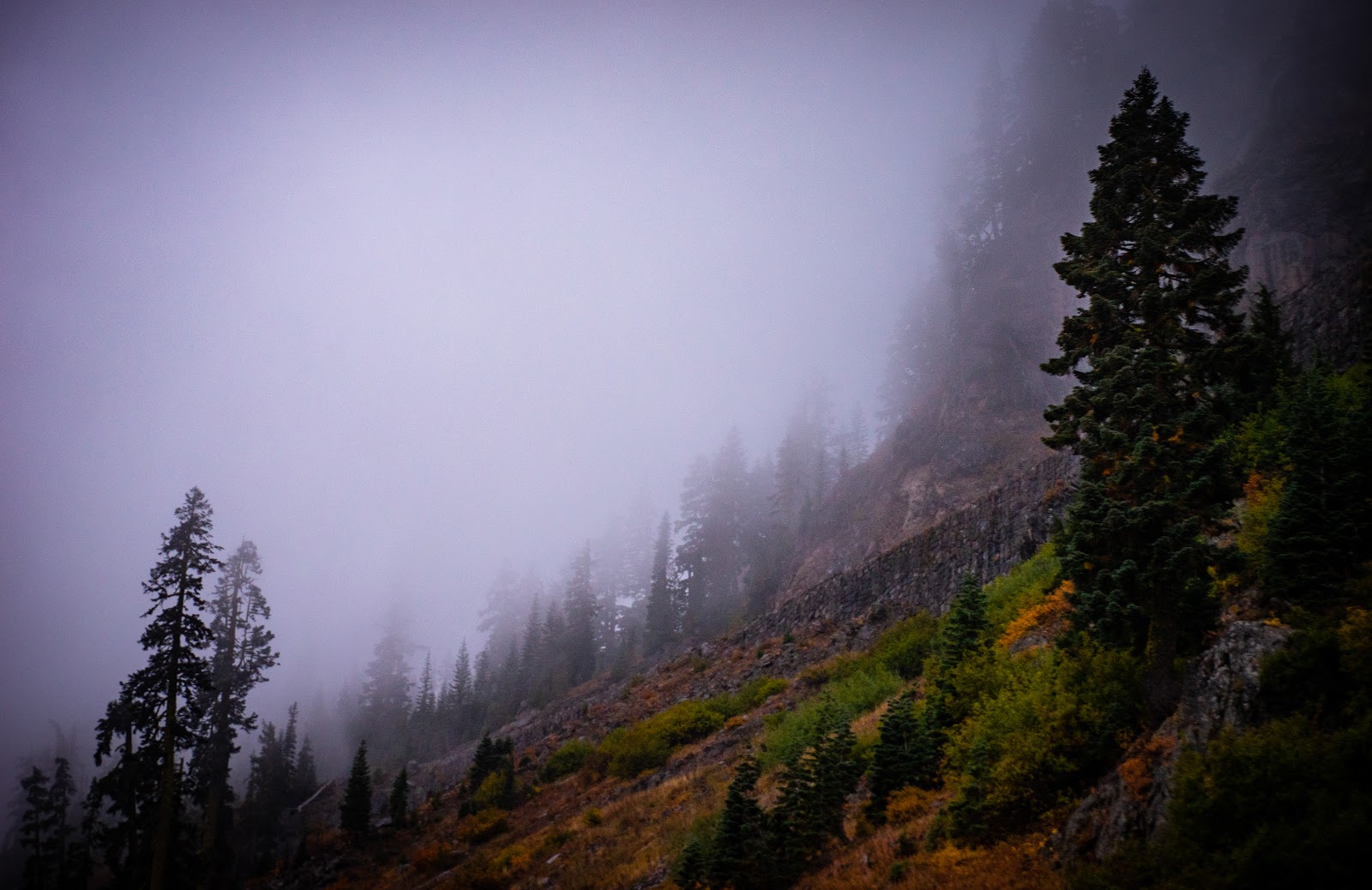 Fog on Crater Lake Ridge