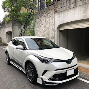 C-HR ZYX10