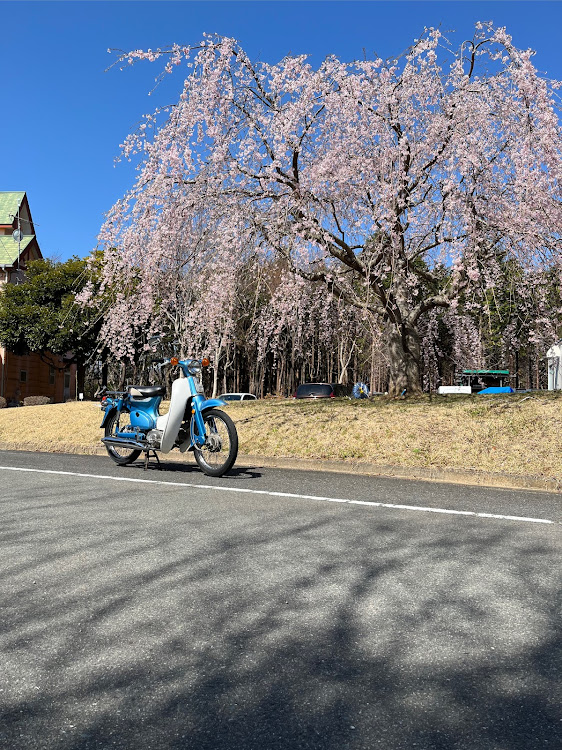 の投稿画像3枚目