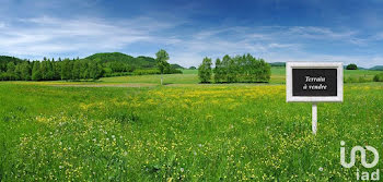 terrain à Les Moutiers-en-Retz (44)