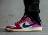 parra x nike sb dunk low pro