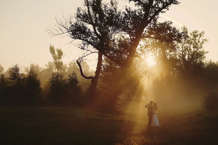 Fotógrafo de bodas Olga I Łukasz Malarz (malarzewparze). Foto del 19 de enero 2018