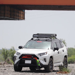 RAV4 MXAA54