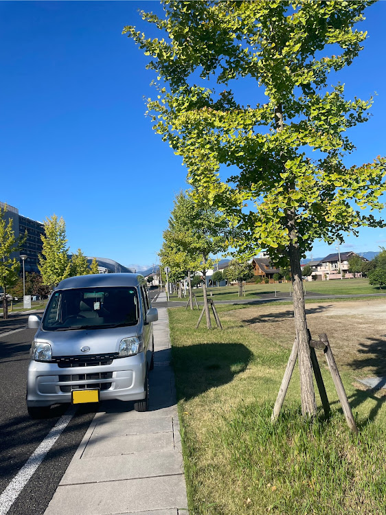 ハイゼットカーゴの銀の軽っ箱さんが投稿したカスタム事例の投稿画像1枚目