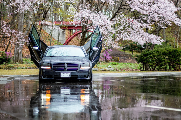 マグナムの家から2分・桜・サクラ・GW・ゴールデンウィークに関するカスタム事例の投稿画像2枚目