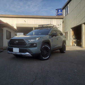 RAV4 MXAA54