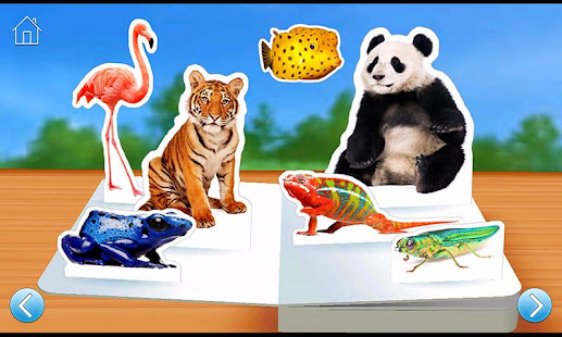 Zoo Animals(圖7)-速報App
