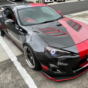 86 ZN6