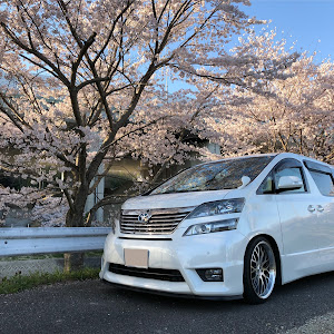 ヴェルファイア ANH20W
