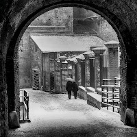 una lenta passeggiata sotto la neve di 