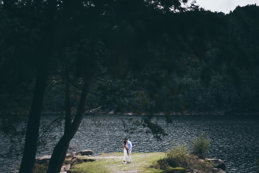 Wedding photographer Paulo Ribeiro (pauloribeiro). Photo of 28 January 2019