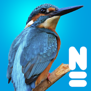 Vogels van Europa  Icon