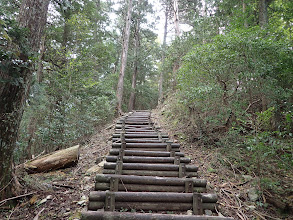 北側から最後の登りに