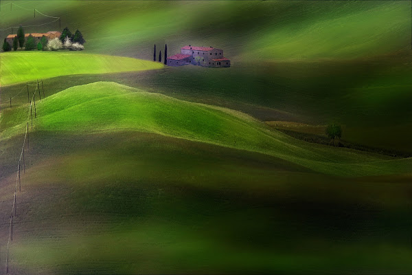 Mattino di primavera di paolo1954