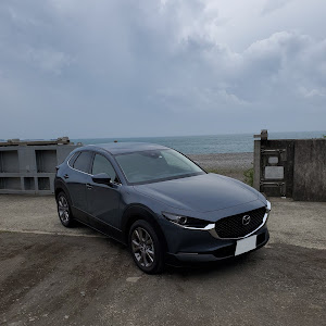 CX-30 DMEP