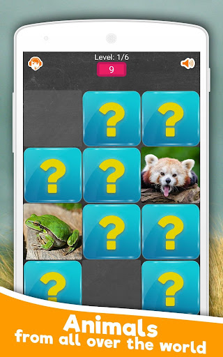 Memory Game Animals