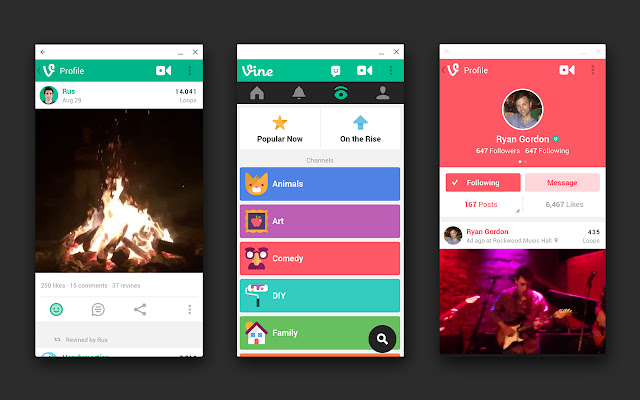 Vine chrome extension