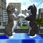Cover Image of डाउनलोड प्यारा बिल्ली और पिल्ला दुनिया 1.0.6.1 APK
