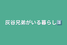 灰谷兄弟がいる暮らし3⃣