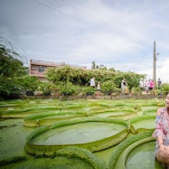 林家古厝休閒農場