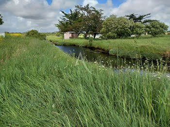 terrain à L'Ile-d'Olonne (85)