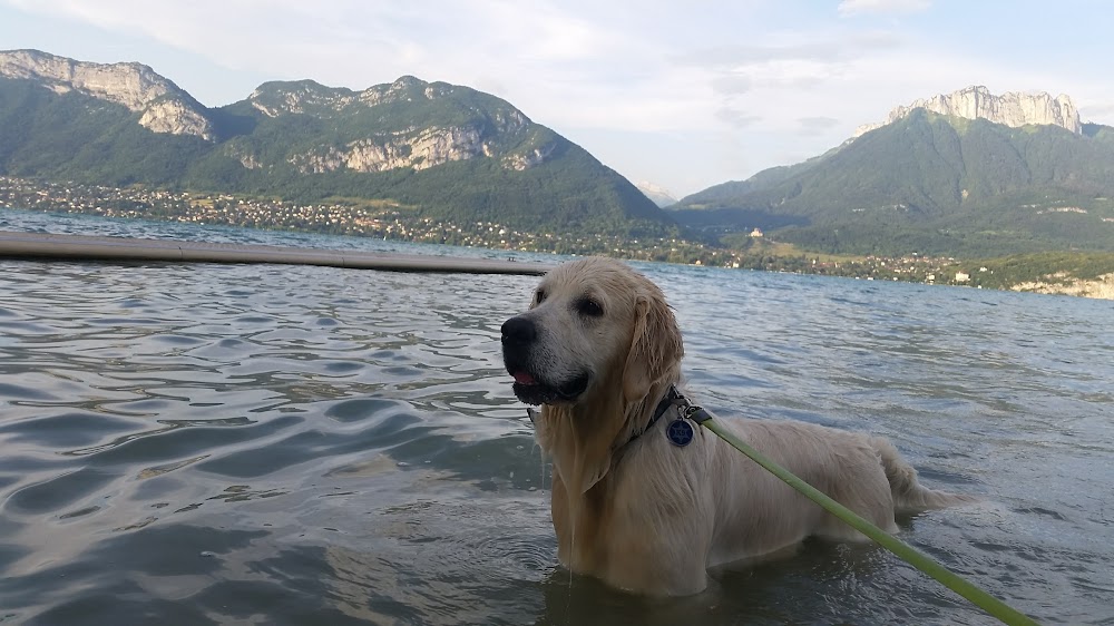 Lake of Annecy