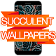 Download Succulent Wallpapers For PC Windows and Mac 1.0