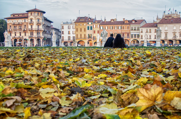 City foliage di Gianluca Presto