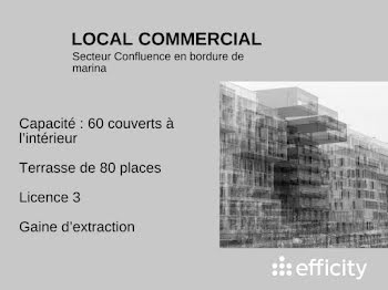 locaux professionnels à Lyon 2ème (69)