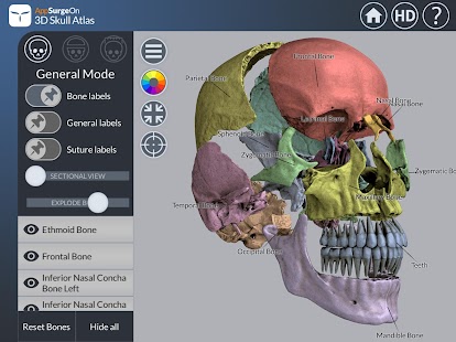   3D Skull Atlas- screenshot thumbnail   
