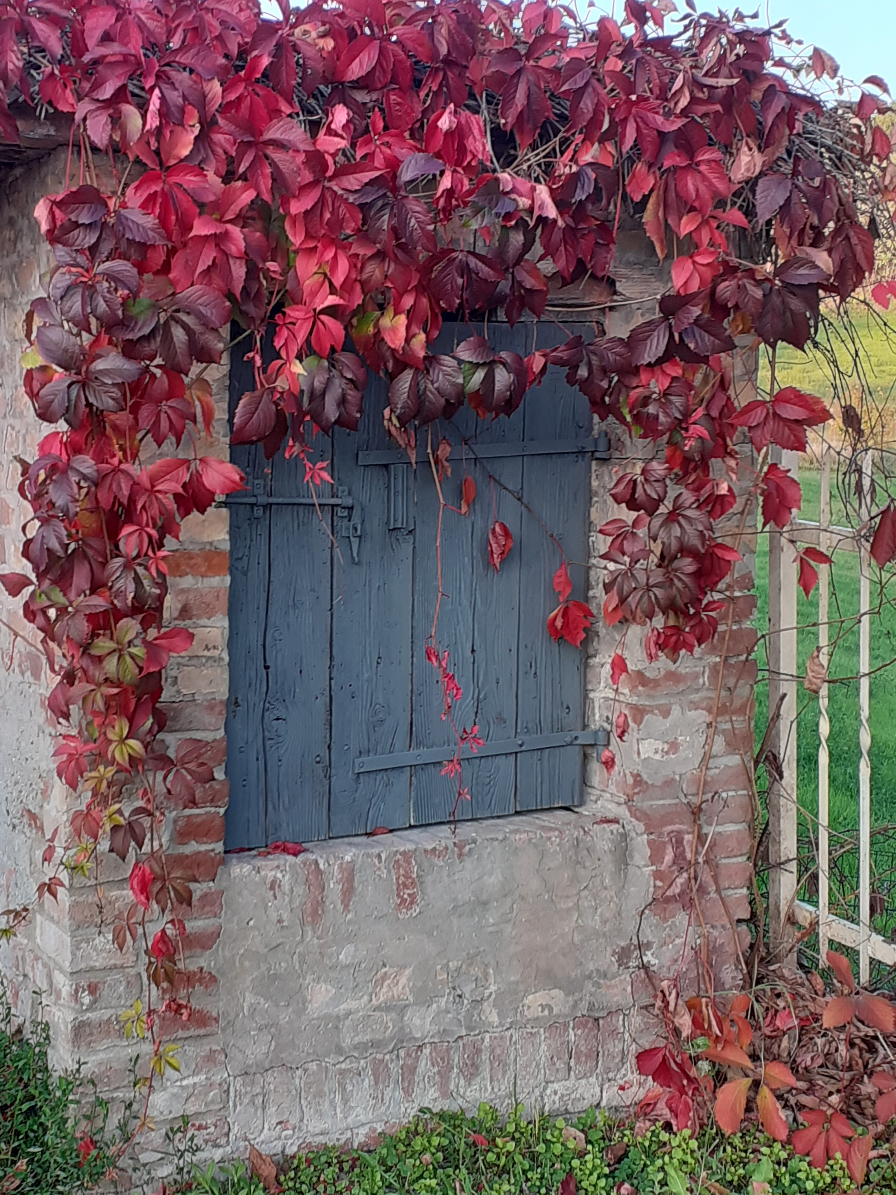 Vestita d'autunno di ORTENSIA_EFFE