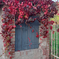 Vestita d'autunno di 